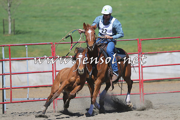 TumbarumbaStockmensChallenge_0418