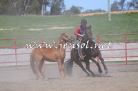 TumbarumbaStockmensChallenge_0257