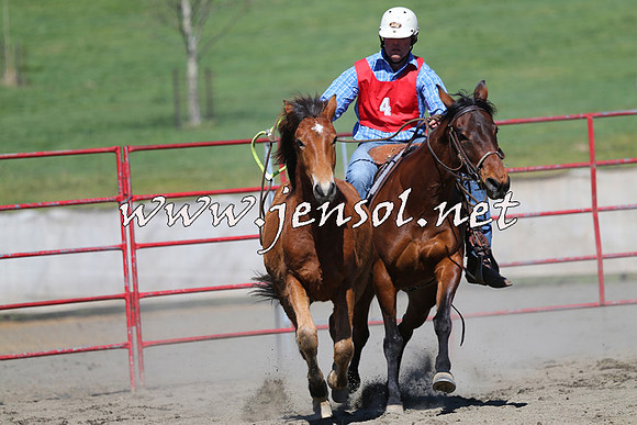 TumbarumbaStockmensChallenge_0315