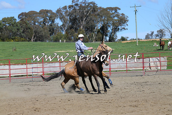 TumbarumbaStockmensChallenge_0504
