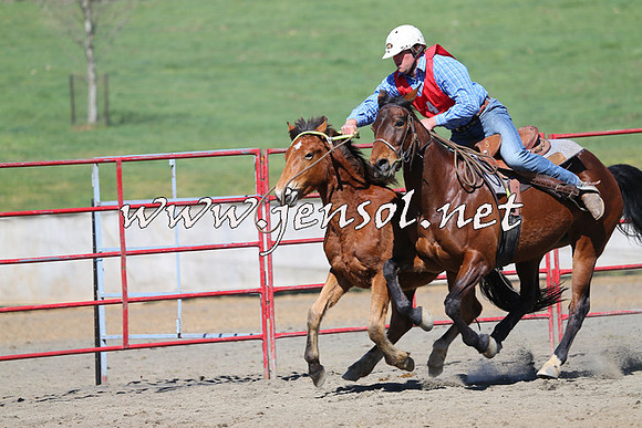 TumbarumbaStockmensChallenge_0324