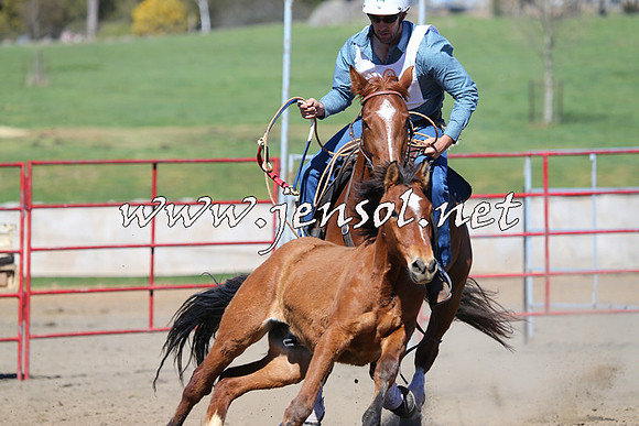 TumbarumbaStockmensChallenge_0460