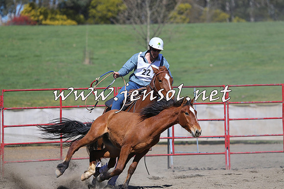 TumbarumbaStockmensChallenge_0444