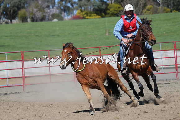TumbarumbaStockmensChallenge_0344