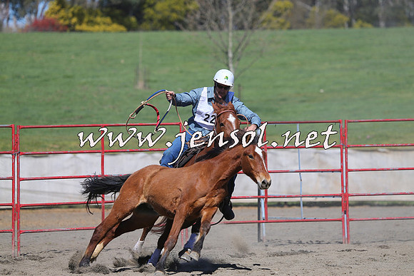TumbarumbaStockmensChallenge_0445