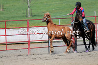 TumbarumbaStockmensChallenge_0264
