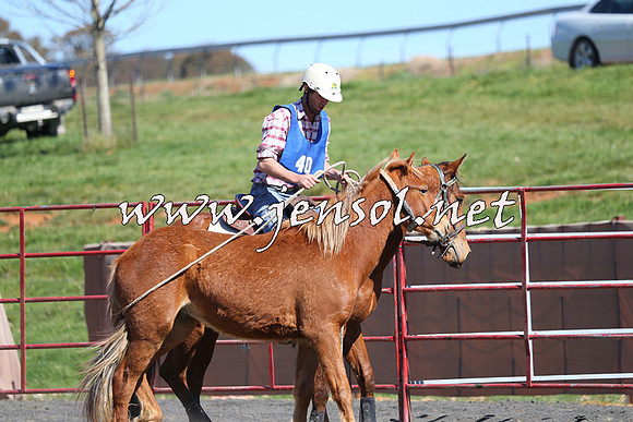 TumbarumbaStockmensChallenge_0403