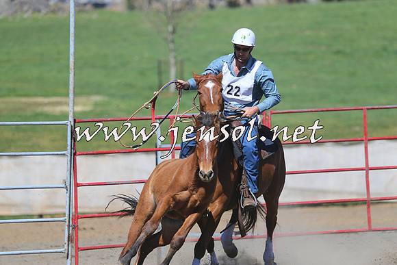 TumbarumbaStockmensChallenge_0416