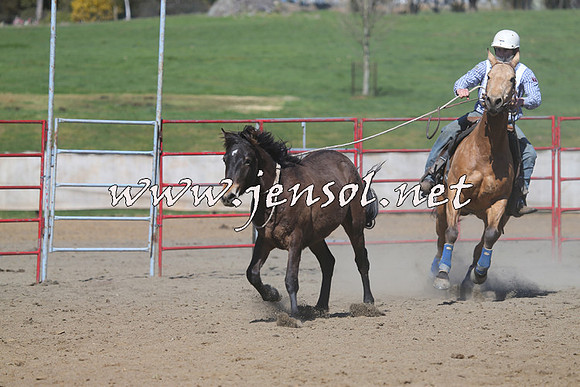 TumbarumbaStockmensChallenge_0525