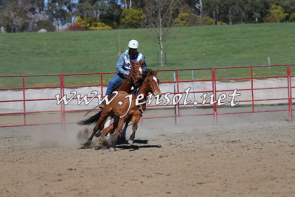 TumbarumbaStockmensChallenge_0469