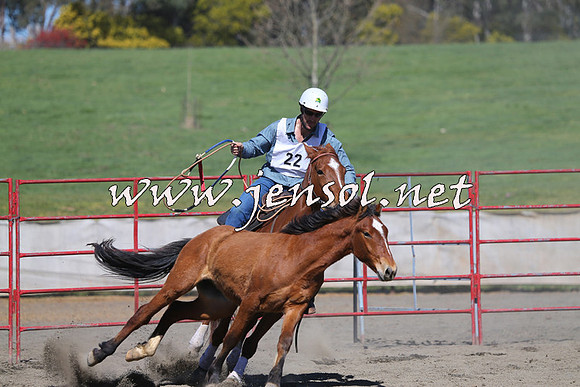 TumbarumbaStockmensChallenge_0446