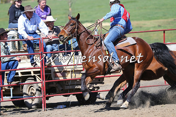 TumbarumbaStockmensChallenge_0329