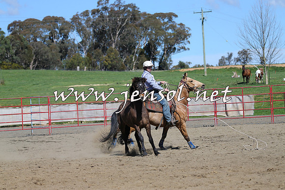 TumbarumbaStockmensChallenge_0503