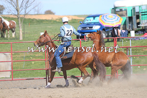 TumbarumbaStockmensChallenge_0422