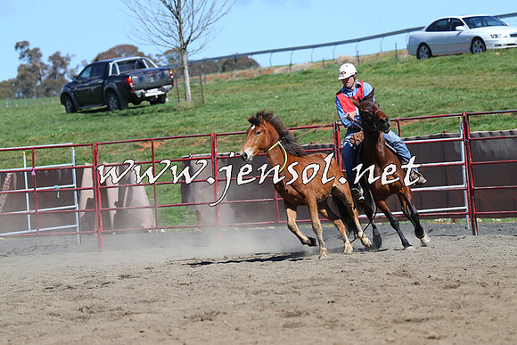 TumbarumbaStockmensChallenge_0347