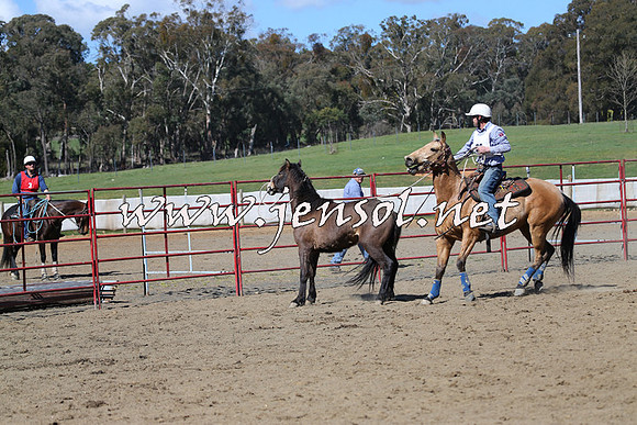 TumbarumbaStockmensChallenge_0510