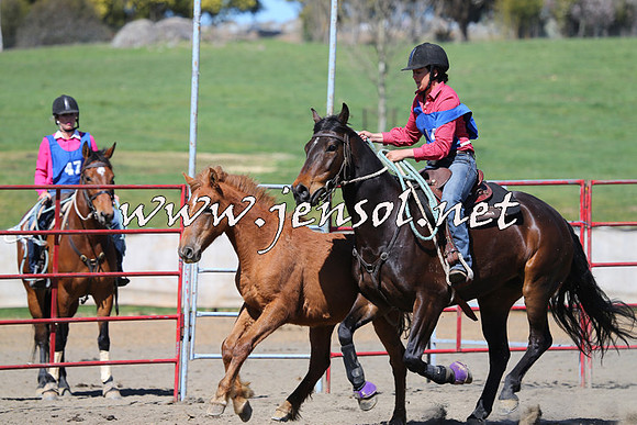 TumbarumbaStockmensChallenge_0218
