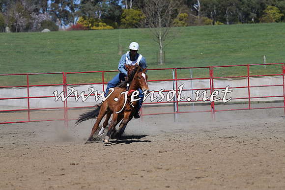 TumbarumbaStockmensChallenge_0471