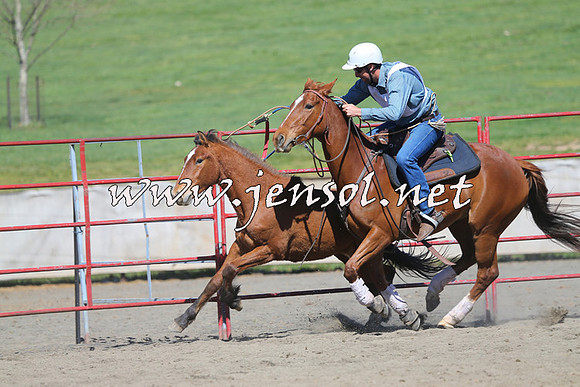 TumbarumbaStockmensChallenge_0412