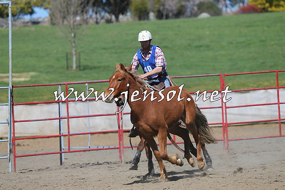 TumbarumbaStockmensChallenge_0360