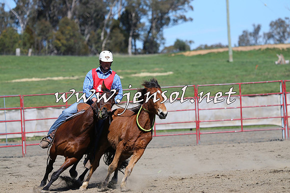 TumbarumbaStockmensChallenge_0355
