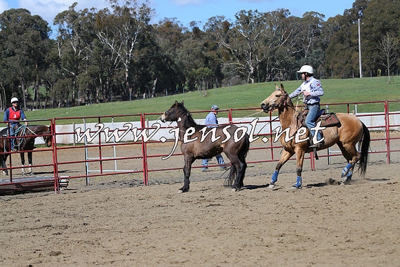 TumbarumbaStockmensChallenge_0512