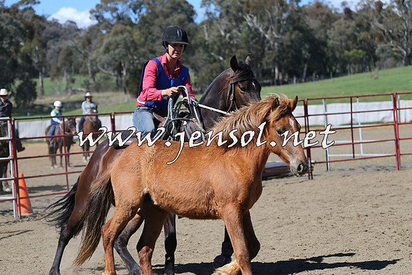 TumbarumbaStockmensChallenge_0210