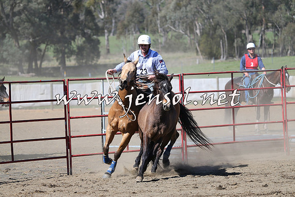 TumbarumbaStockmensChallenge_0489
