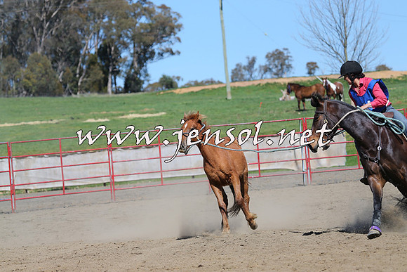 TumbarumbaStockmensChallenge_0241