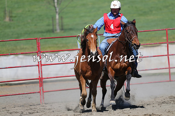 TumbarumbaStockmensChallenge_0316