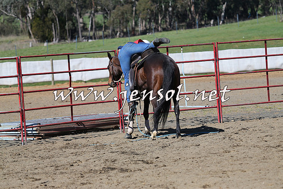 TumbarumbaStockmensChallenge_0562