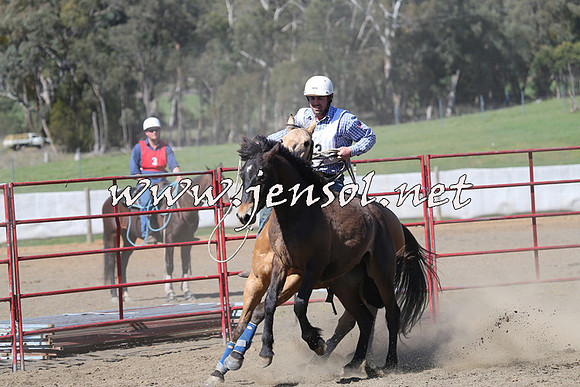 TumbarumbaStockmensChallenge_0483