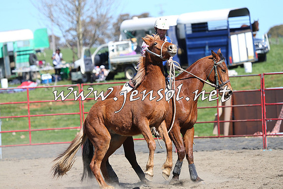 TumbarumbaStockmensChallenge_0388