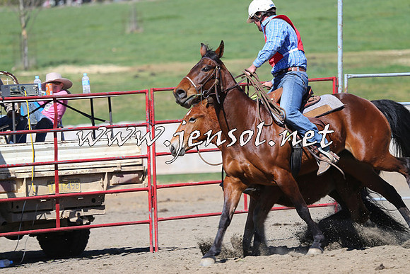 TumbarumbaStockmensChallenge_0331