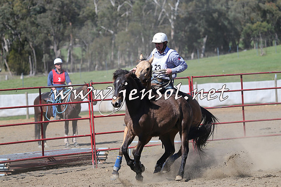 TumbarumbaStockmensChallenge_0481