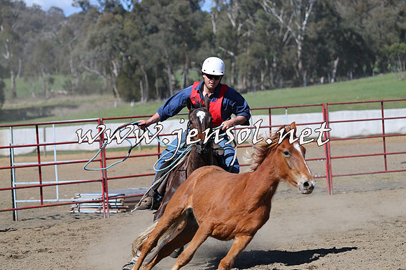 TumbarumbaStockmensChallenge_0546