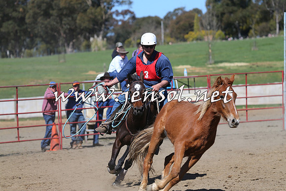 TumbarumbaStockmensChallenge_0557