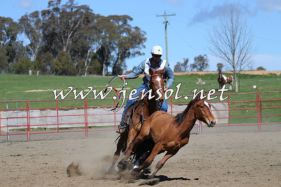 TumbarumbaStockmensChallenge_0432