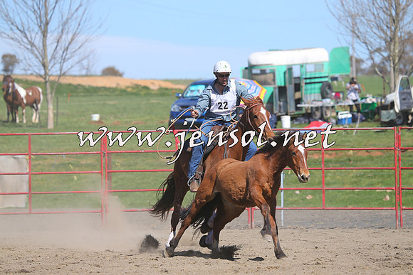 TumbarumbaStockmensChallenge_0438