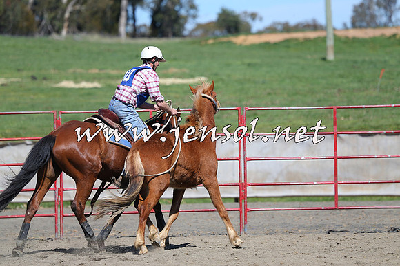 TumbarumbaStockmensChallenge_0396