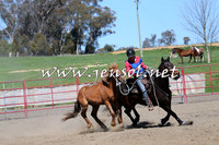 TumbarumbaStockmensChallenge_0242