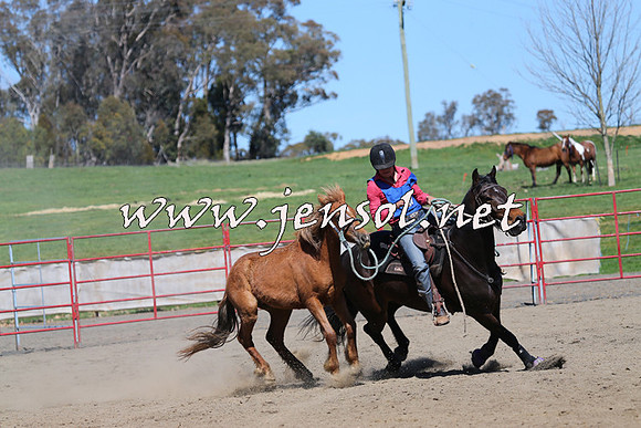 TumbarumbaStockmensChallenge_0242