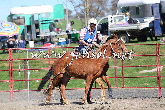 TumbarumbaStockmensChallenge_0399