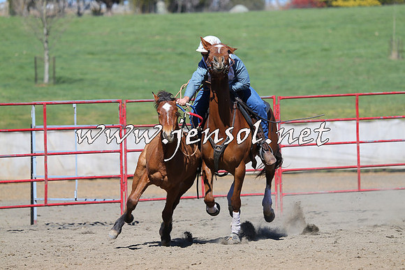 TumbarumbaStockmensChallenge_0453