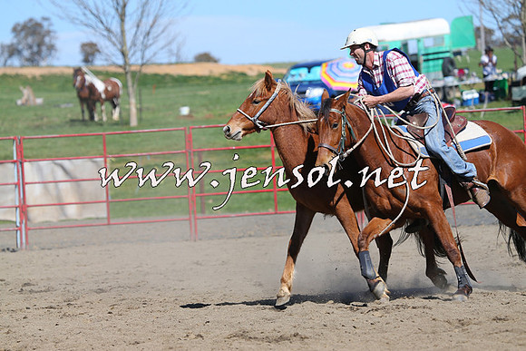 TumbarumbaStockmensChallenge_0389