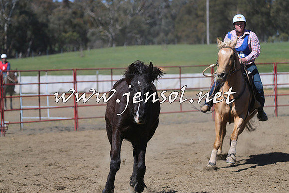 TumbarumbaStockmensChallenge_0287