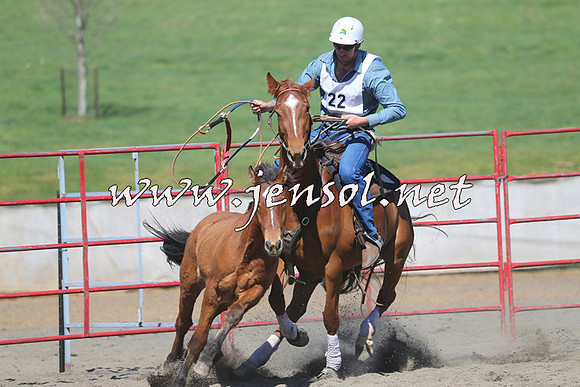TumbarumbaStockmensChallenge_0420