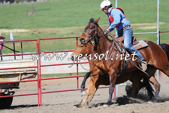 TumbarumbaStockmensChallenge_0332