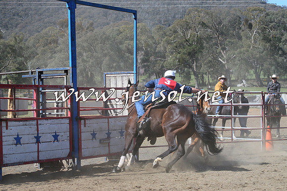 TumbarumbaStockmensChallenge_0541