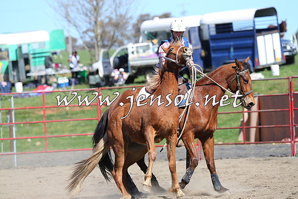 TumbarumbaStockmensChallenge_0387